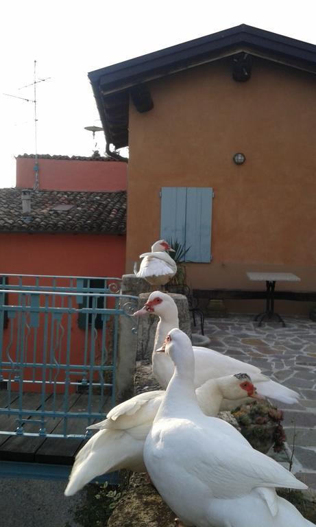 Agriturismo Il Gelso Traversetolo Екстериор снимка
